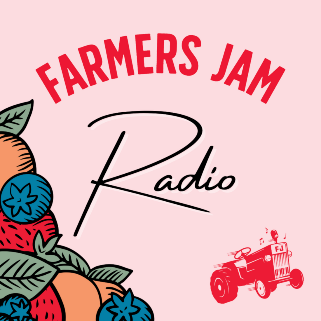 farmers jam radio georgia agriculture commissioner democratic primary